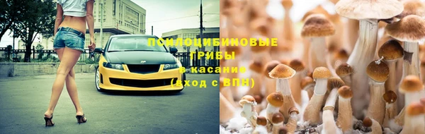 эйфоретик Алзамай