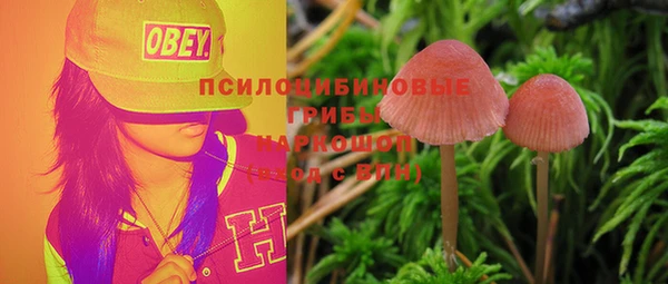 шишки Абинск