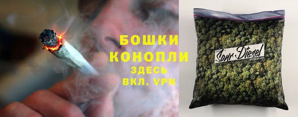 шишки Абинск